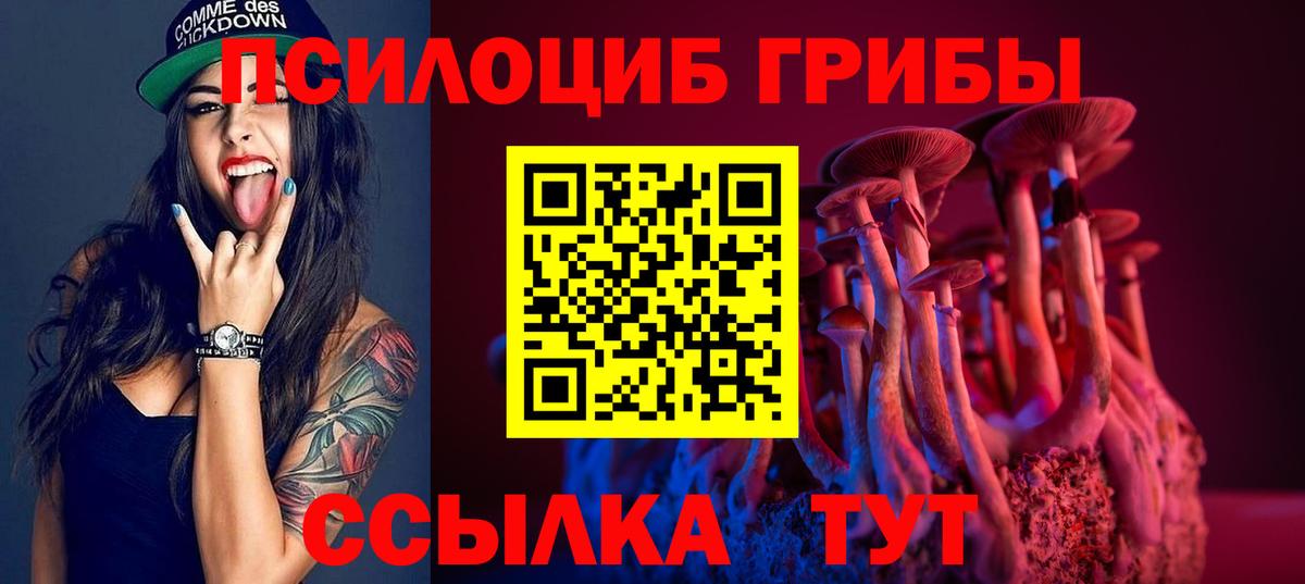 Псилоцибиновые грибы Magic Shrooms  Вход с VPN  Гатчина 