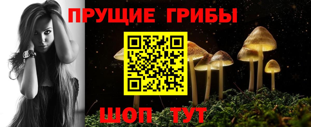 Галлюциногенные грибы Cubensis Гатчина