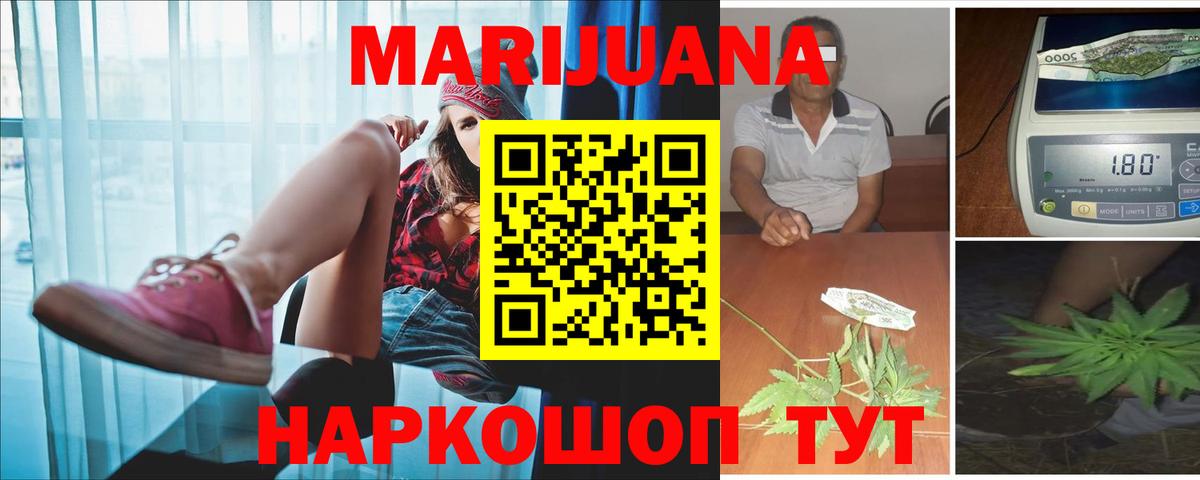 Гатчина  Конопля план  Бошки марихуана индика  Вход с VPN  Бошки марихуана индика  Канабис AK-47 